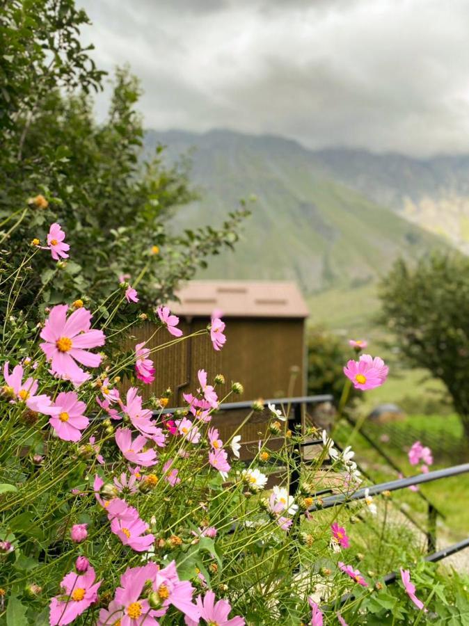 My Space Kazbegi Extérieur photo